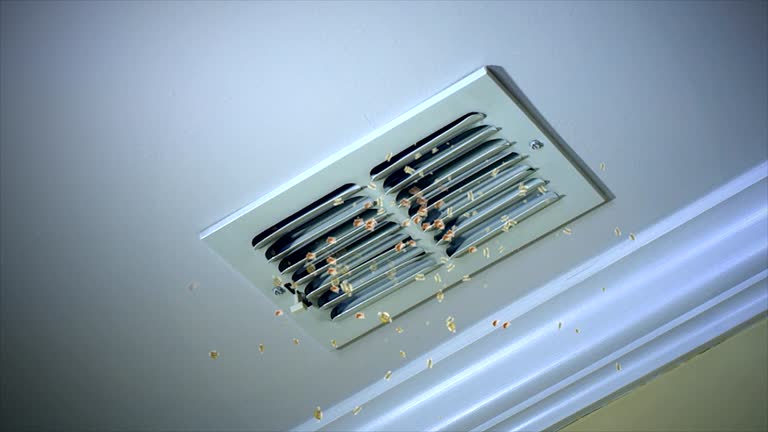 Best Professional Duct Cleaning Services  in Olympia Fields, IL
